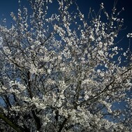 휴일입니다 😿