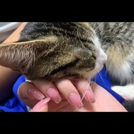 사랑 고양이🐈