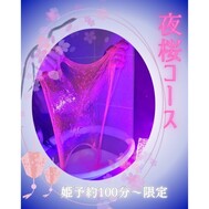 밤 벚꽃 칠라 보여 🩷