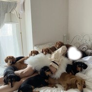 엔터테인먼트가 너무 많다…ᕦ(ò_óˇ)ᕤ