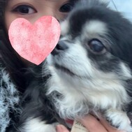 13일 16시부터 마지막까지 있습니다❣️