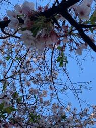 [제목]from: 월요일에 약한 생물