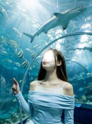 어떻습니까? 🐰💕