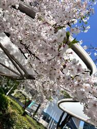 [제목]from:토펑과 씨