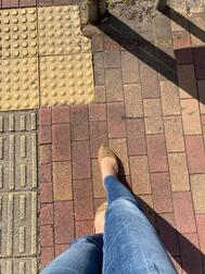 오랜만의 출근입니다 🐾ᵕ̈