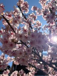 오늘은 휴일입니다 🦜🌱