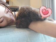 아키즈키 하루카입니다 🌸