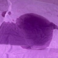 어제도 많이 해독 🤫💖