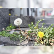 아사입니다 🥰