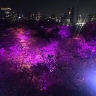 내일도 출근합니다!