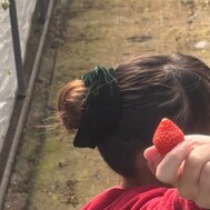 내일 출근에 대해