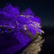 오늘은 미안해요 😖