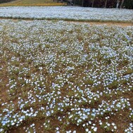 내일 👶🏻❤️