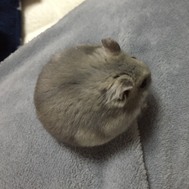 키리카입니다 ✰