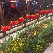 샤워 온도는 1d100℃