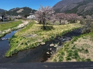 좋은 아침 ☺️