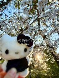 하카타 돈타쿠 ✨