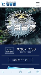 야마구치 현을 돌보고 싶다.