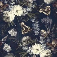 N님 감사합니다 ♡