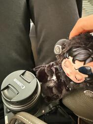 가자! ! 🙋‍♀️