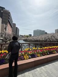 거의 만개🌸🌷