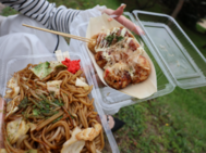 만개하지 않았다 🥲