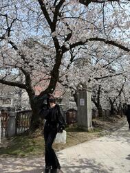 제대로보고 있어요 👀