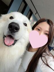 야키니쿠 🥩🔥