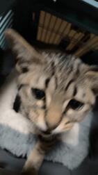 죄송합니다 💦