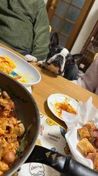 퇴근했습니다 아