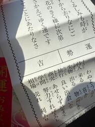 🩵 시가 신년 🎍🌅