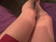 다리를 시험해 보시겠습니까? ?