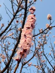 오랜만입니다 ♡