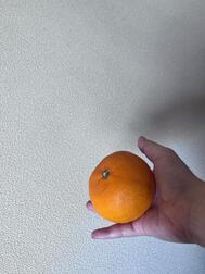 미칸🍊