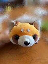 귀여운( ꈍᴗꈍ)♡