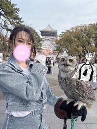 🦉🦉🦉