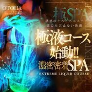 시작되었습니다.