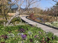 4월 후반의 예정☆