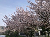 요나고 마지막날☆