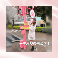 1년만의 재회 🕊️