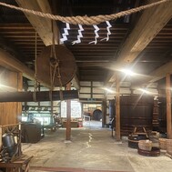 시크타와 네모필라의 날🦈🌸