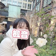 빠뜨릴 수 없는 친구✨️