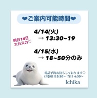 화수 출근입니다 ♡