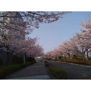 다음 번 8일(수)입니다🌱