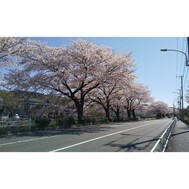 오늘 마지막 ⭐