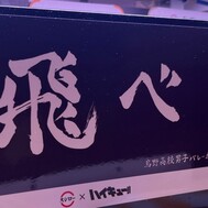 날아라! ! ! ! 내일도