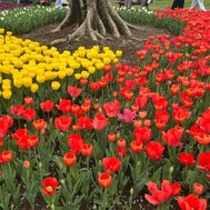 내일있어 🙂‍↕️✨