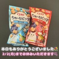 1월 마지막 출근이었습니다 🤍 고마워요