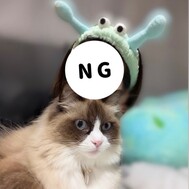 18:00 시프트 공개 🕊🤍