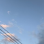 오늘과 내일 있습니다 💕